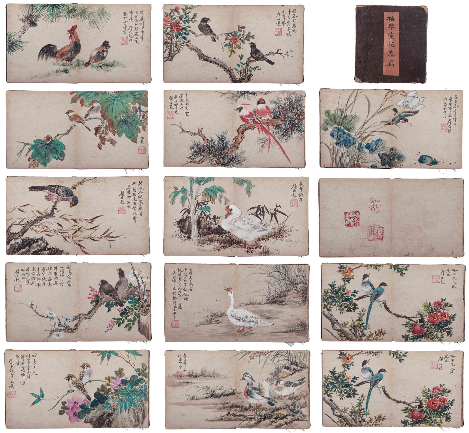 A CHINESE ALBUM PAINTING OF BIRDS