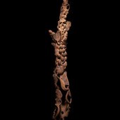 A Chinese Chenxiang Wood 'Squi