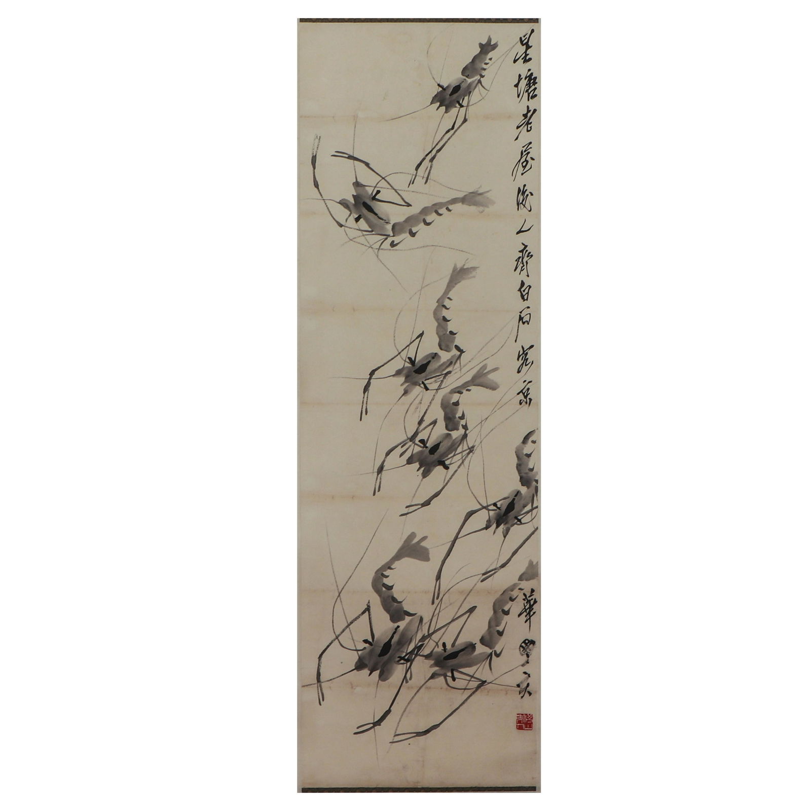 A CHINESE PAINTING OF SHRIMPSA