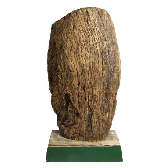 A Chinese Yunnan Petrified