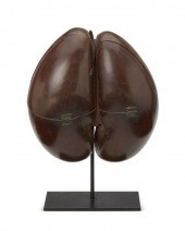 A COCO DE MER SPECIMEN BOXY A