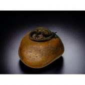 A COLD PAINTED BRONZE LIZARD O
