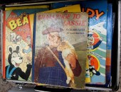A collection of Annuals and Co