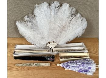 A collection of antique fans,