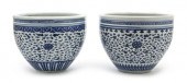A Collection of Blue and White