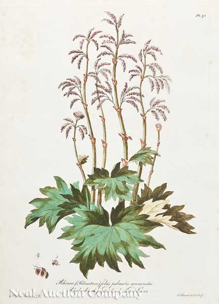 A Collection of Eight Antique