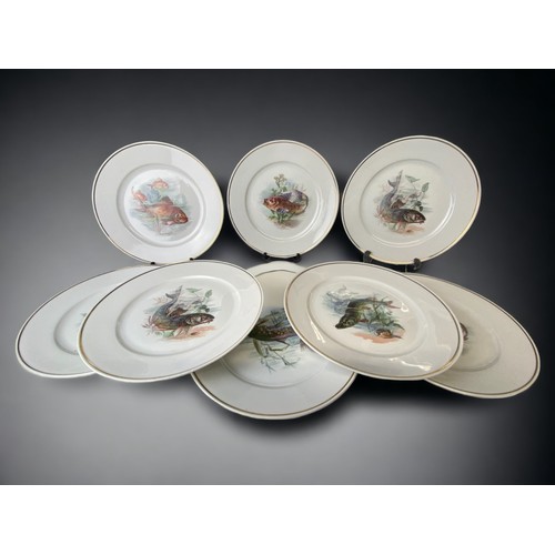 A COLLECTION OF JOHANN HAVILAND