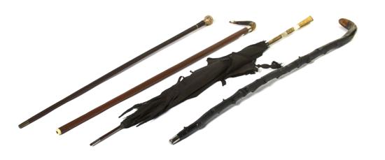 A Collection of Nine Walking Sticks