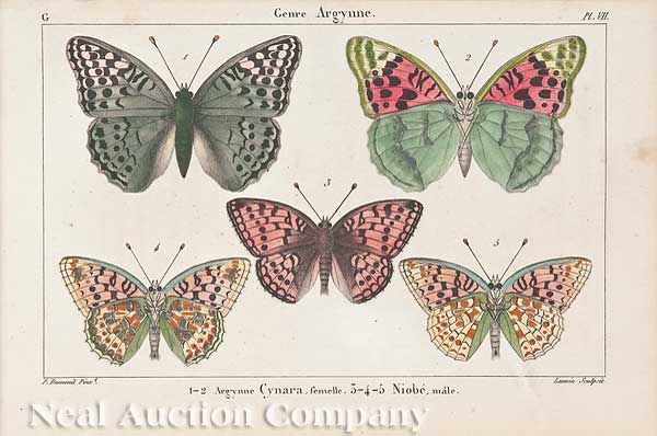 A Collection of Seven
