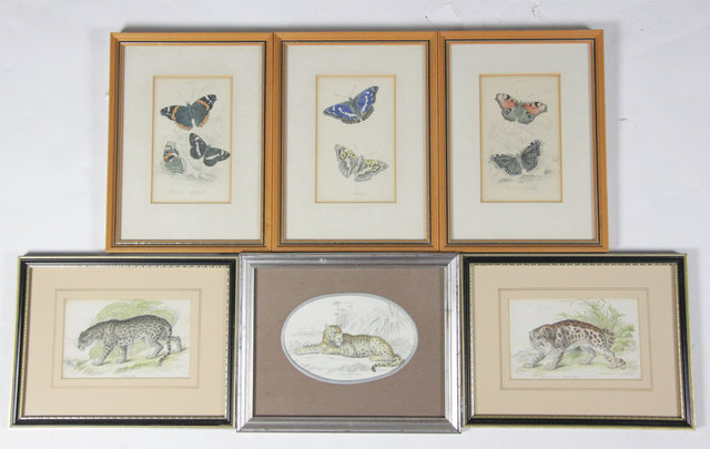 A collection of six engravings of