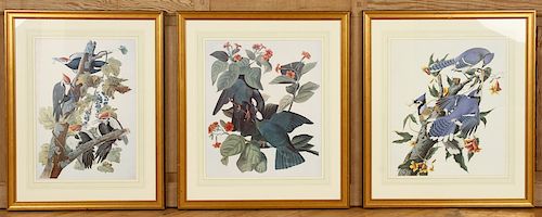 A COLLECTION OF THREE