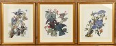 A COLLECTION OF THREE ORNITHOL