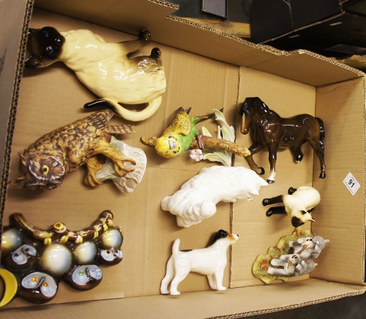 A collection of various dogs