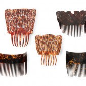 A Collection of Victorian Tort