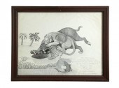 A COMBAT BETWEEN A WILD BOAR