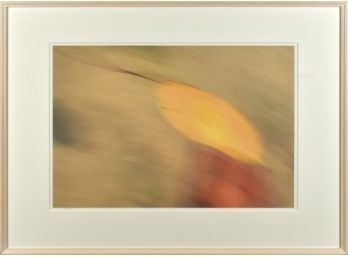 A contemporary abstract color