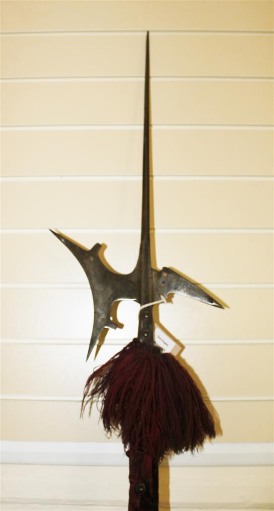 A continental polearm halberd
