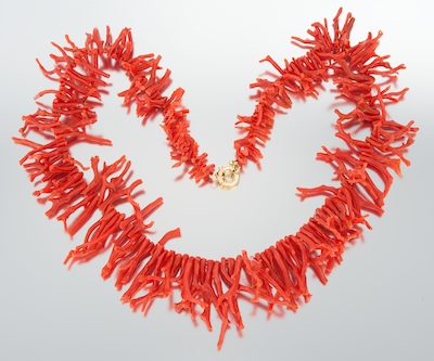 A Coral Branch Necklace 14k