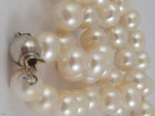 A cultured pearl necklace approx.