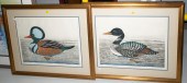 A. DAN MITRA, THREE DUCK PRINT
