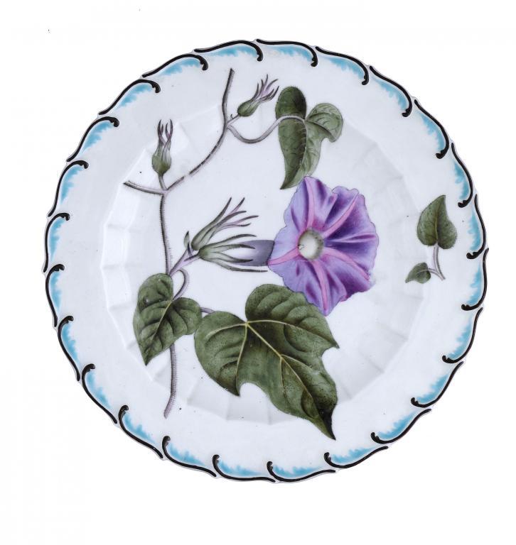 A DERBY BOTANICAL PLATE made as a