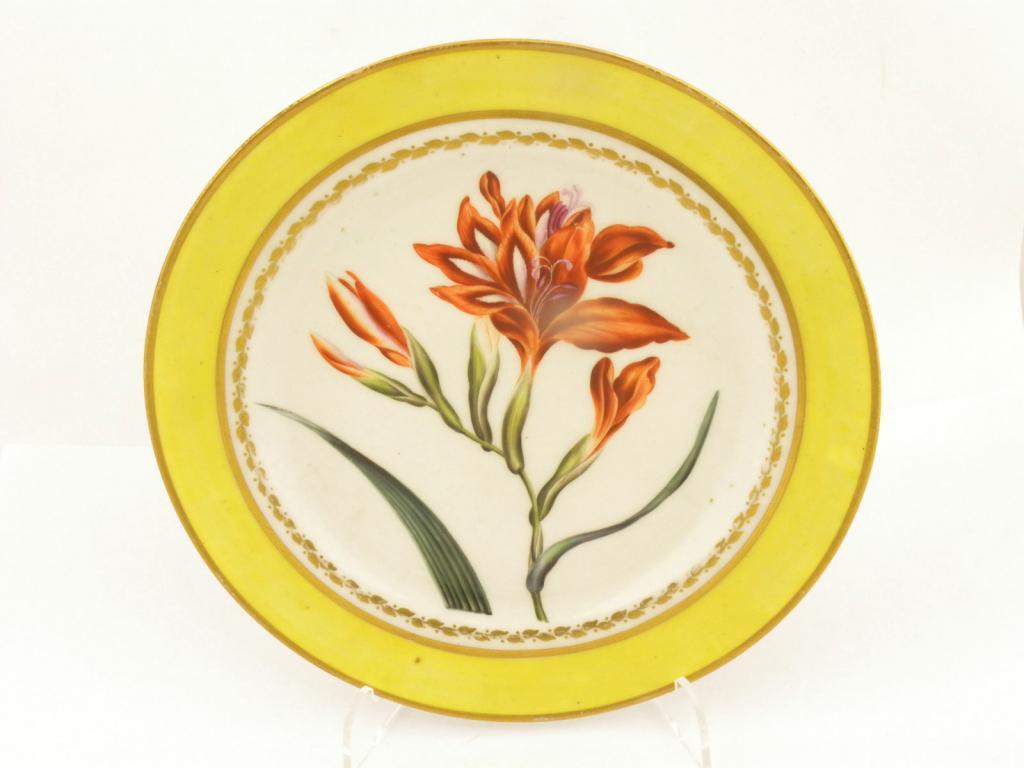 A DERBY BOTANICAL PLATE painted