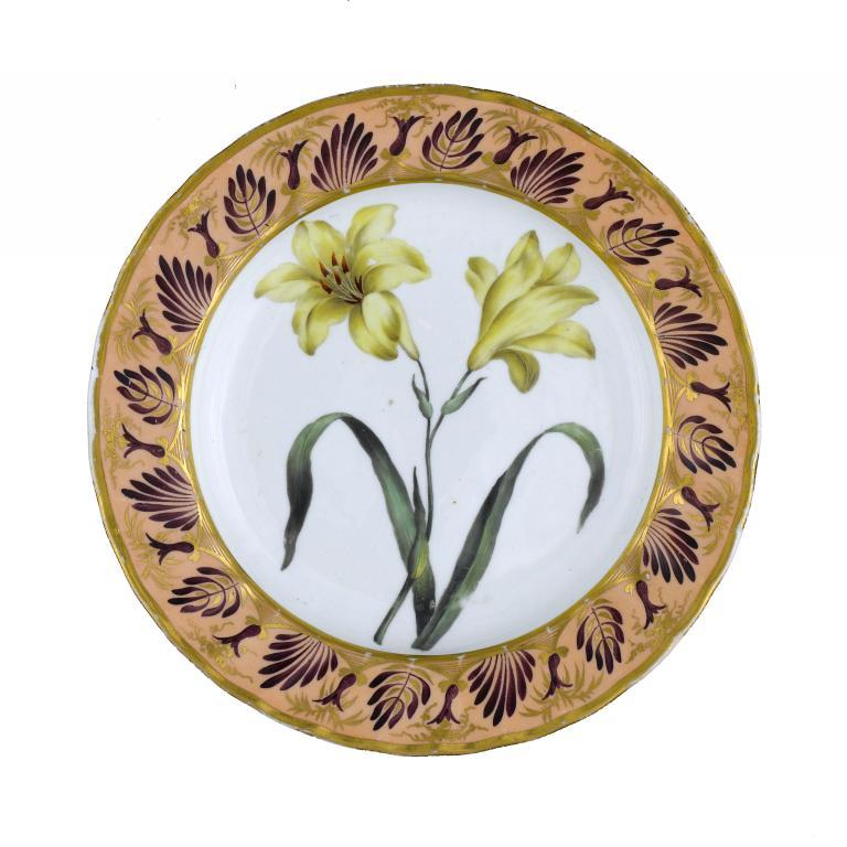A DERBY BOTANICAL PLATE painted