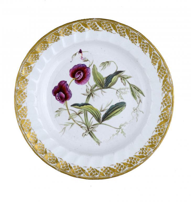A DERBY BOTANICAL PLATE painted