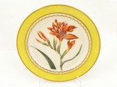 A DERBY BOTANICAL PLATE<br />