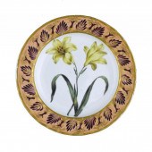 A DERBY BOTANICAL PLATE<br />