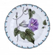 A DERBY BOTANICAL PLATE<br />