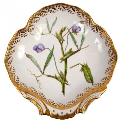 A Derby botanical shell-shaped