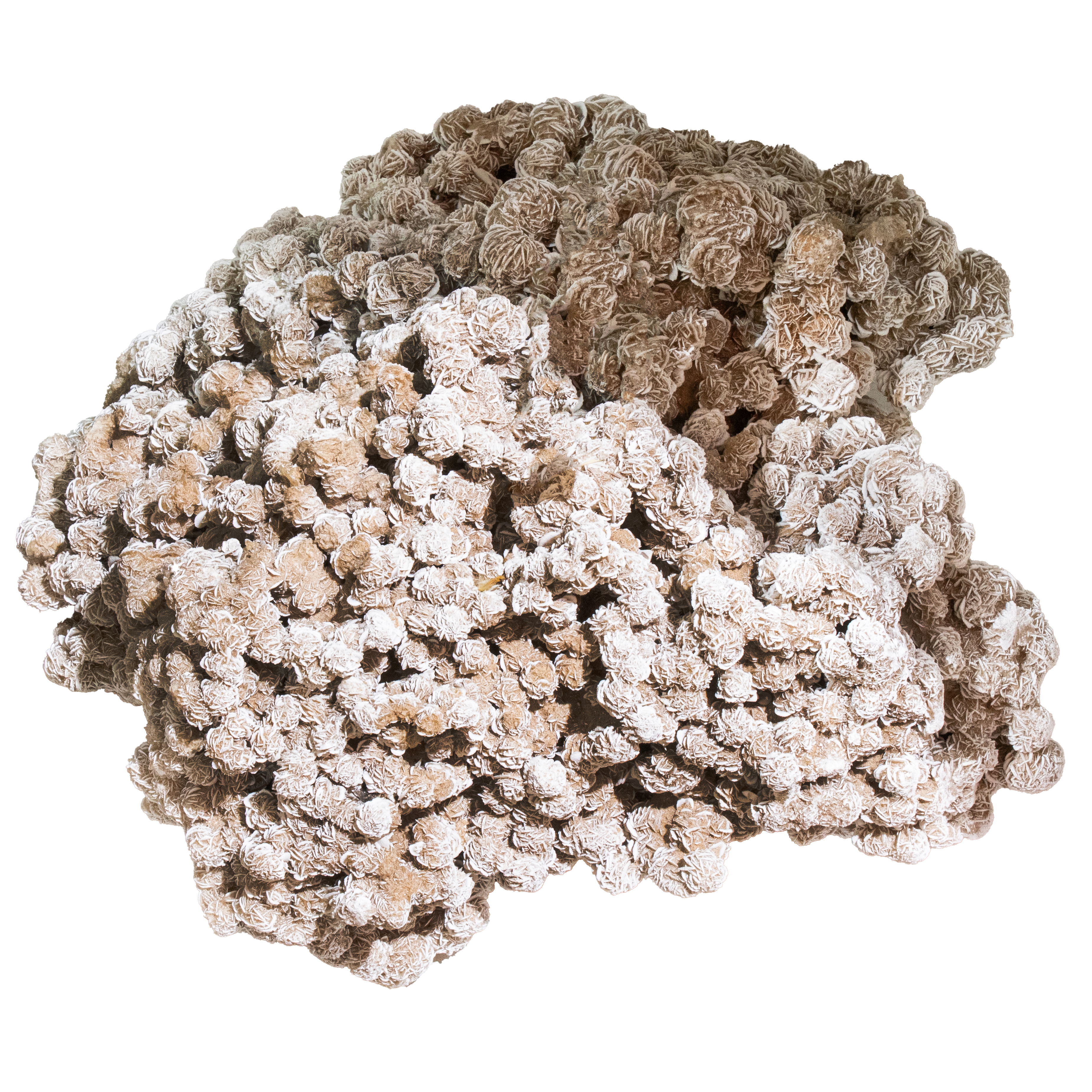 A DESERT ROSE SELENITE FORMATION