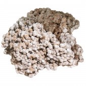A DESERT ROSE SELENITE FORMATI