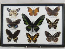 A display case of Indian and