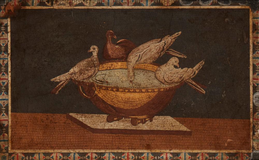 A "DOVES OF PLINY" GRAND TOUR