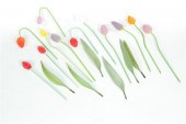 A DOZEN GLASS TULIPS.  Germany