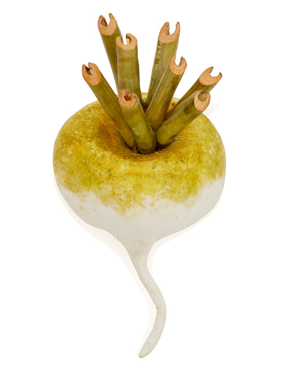 A FABRICE PAPIER-MâCHé TURNIP