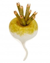 A FABRICE PAPIER-MâCHé TURNIP