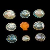 A FIFTEEN PIECE COLLECTION OF