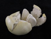 A fine Japanese ivory model of