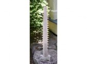 A finely preserved sawfish bil