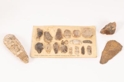A flint axe head, possibly