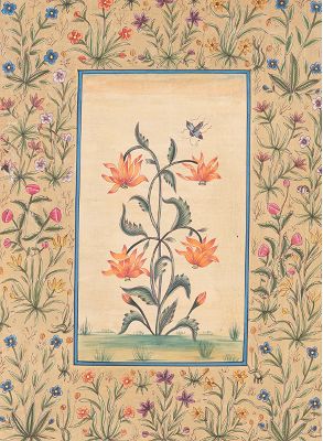 A Floral Book Illumination India