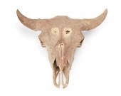 A FOSSILIZED BISON SKULLA foss