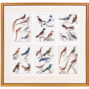 A Framed Group of Six Colored
