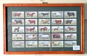 A framed piece including twenty