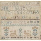 A George IV wool sampler, Eliz