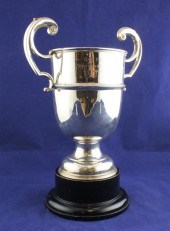 A George V silver two handled