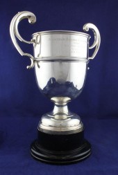 A George V silver two handled